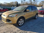 Ford Escape 2014