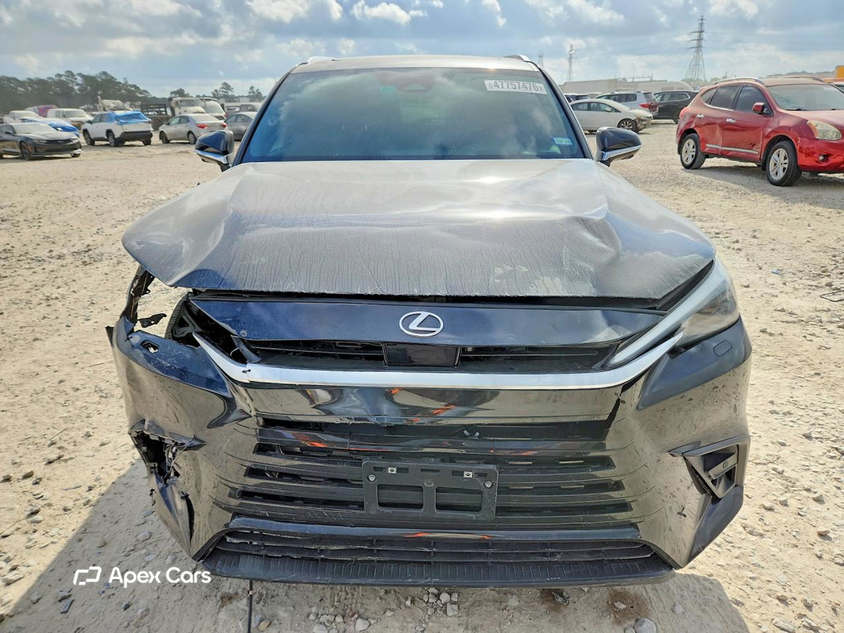 Lexus TX 2024