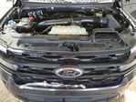 Ford Expedition 2024