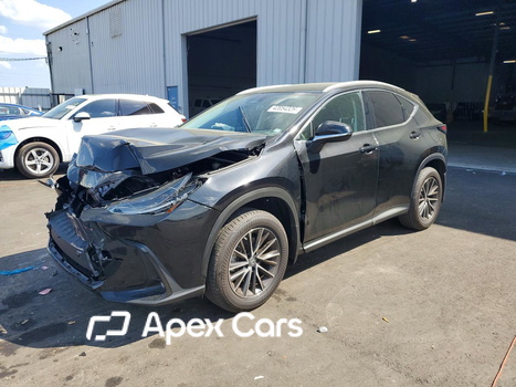 Lexus NX 2022 - Image 1 of 14