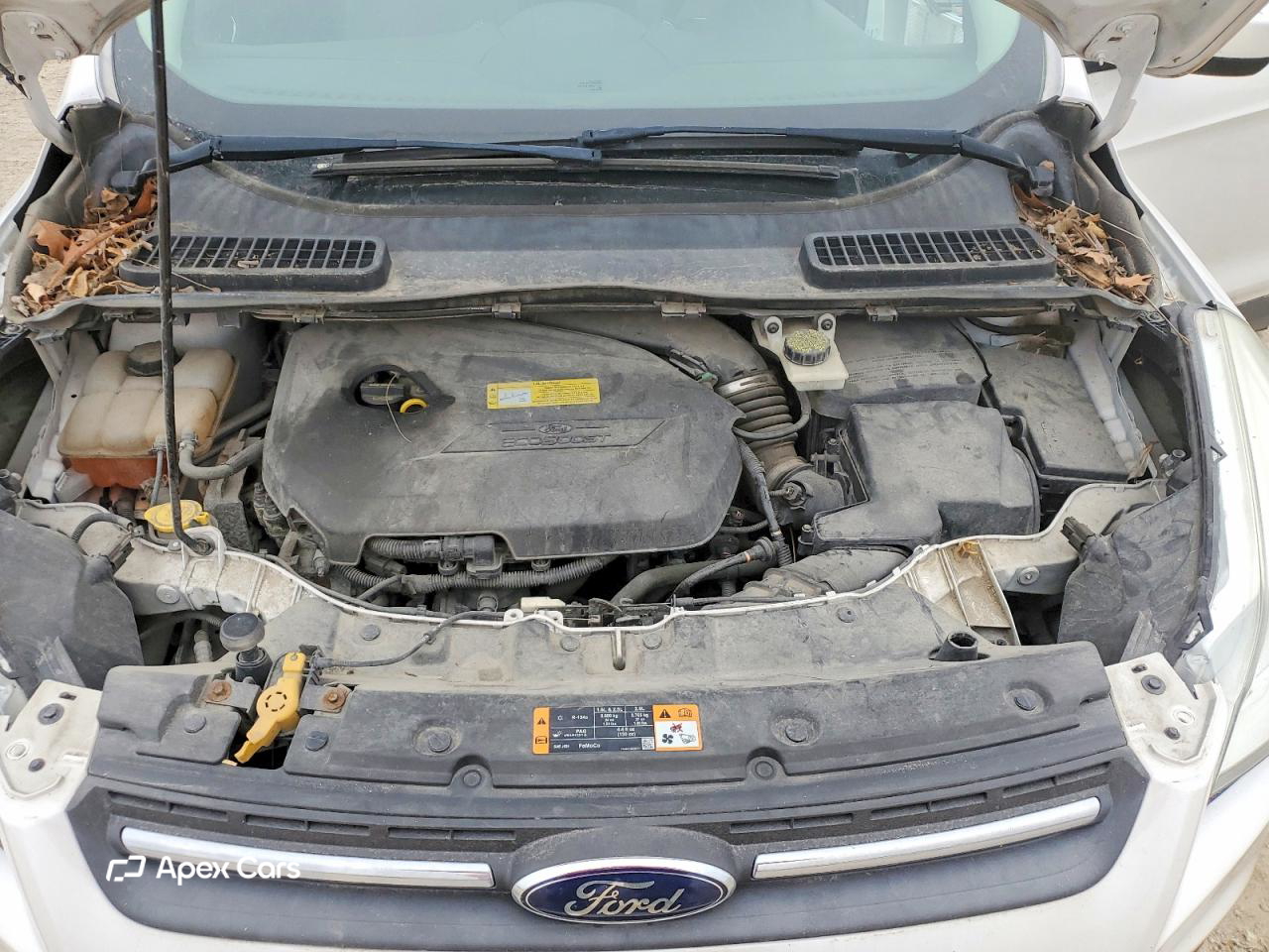 Ford Escape 2014