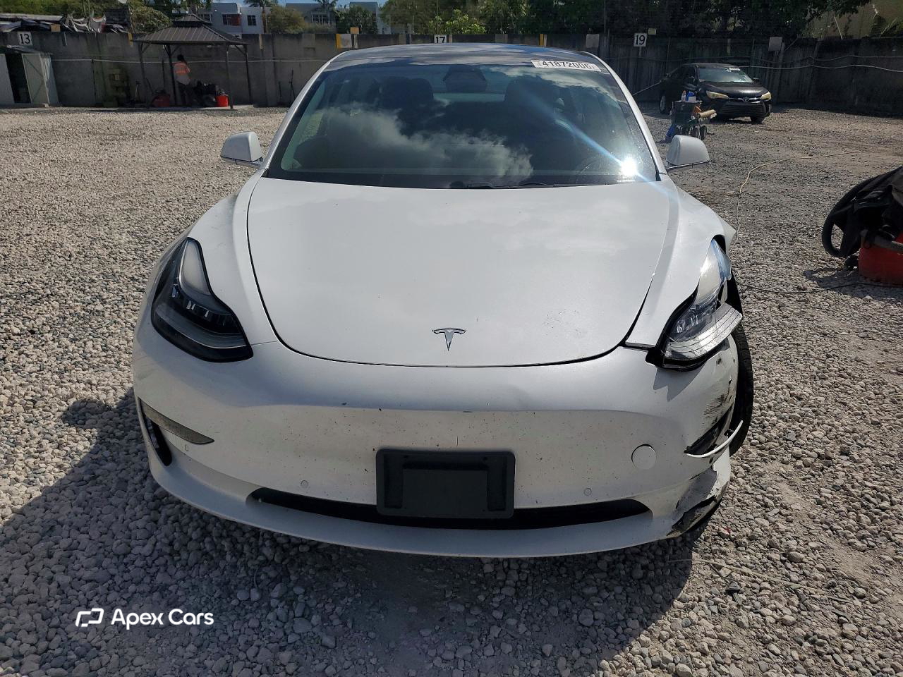 Tesla Model 3 2019
