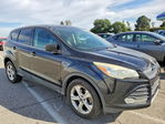 Ford Escape 2015