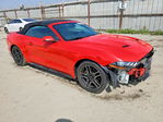 Ford Mustang 2019
