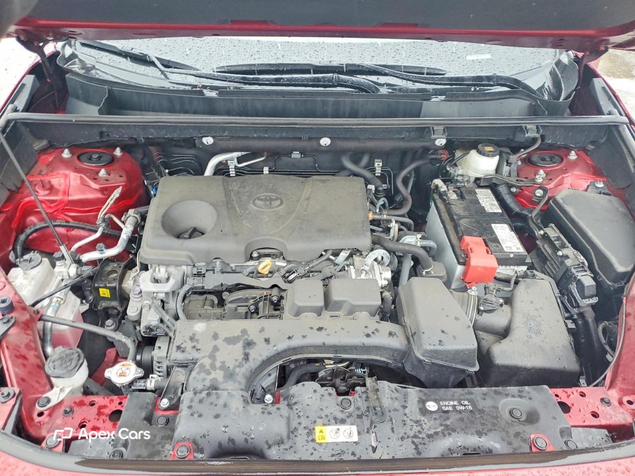 Toyota RAV 4 2024