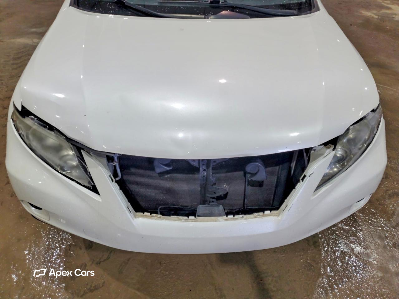 Lexus RX 2011