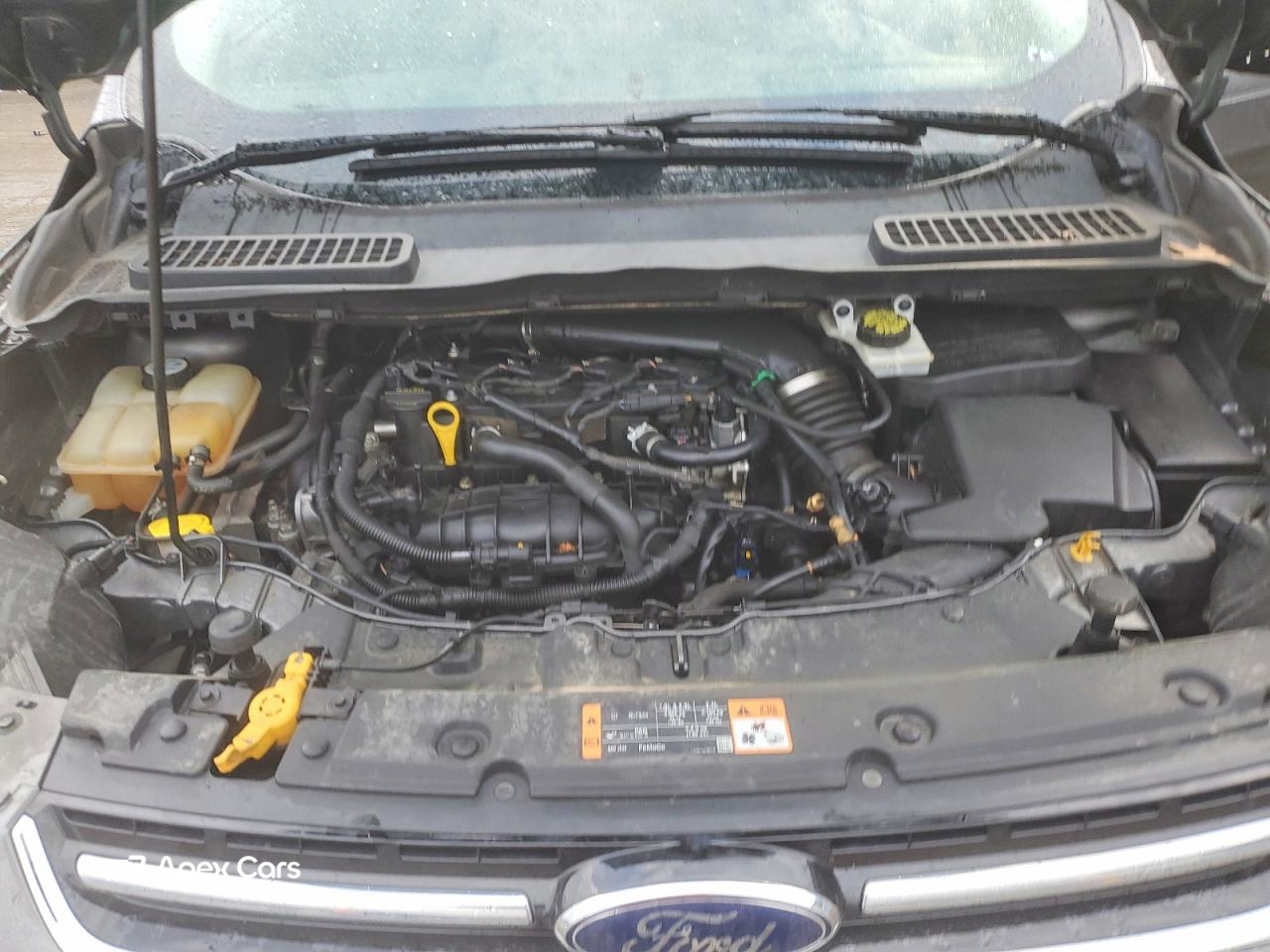 Ford Escape 2014