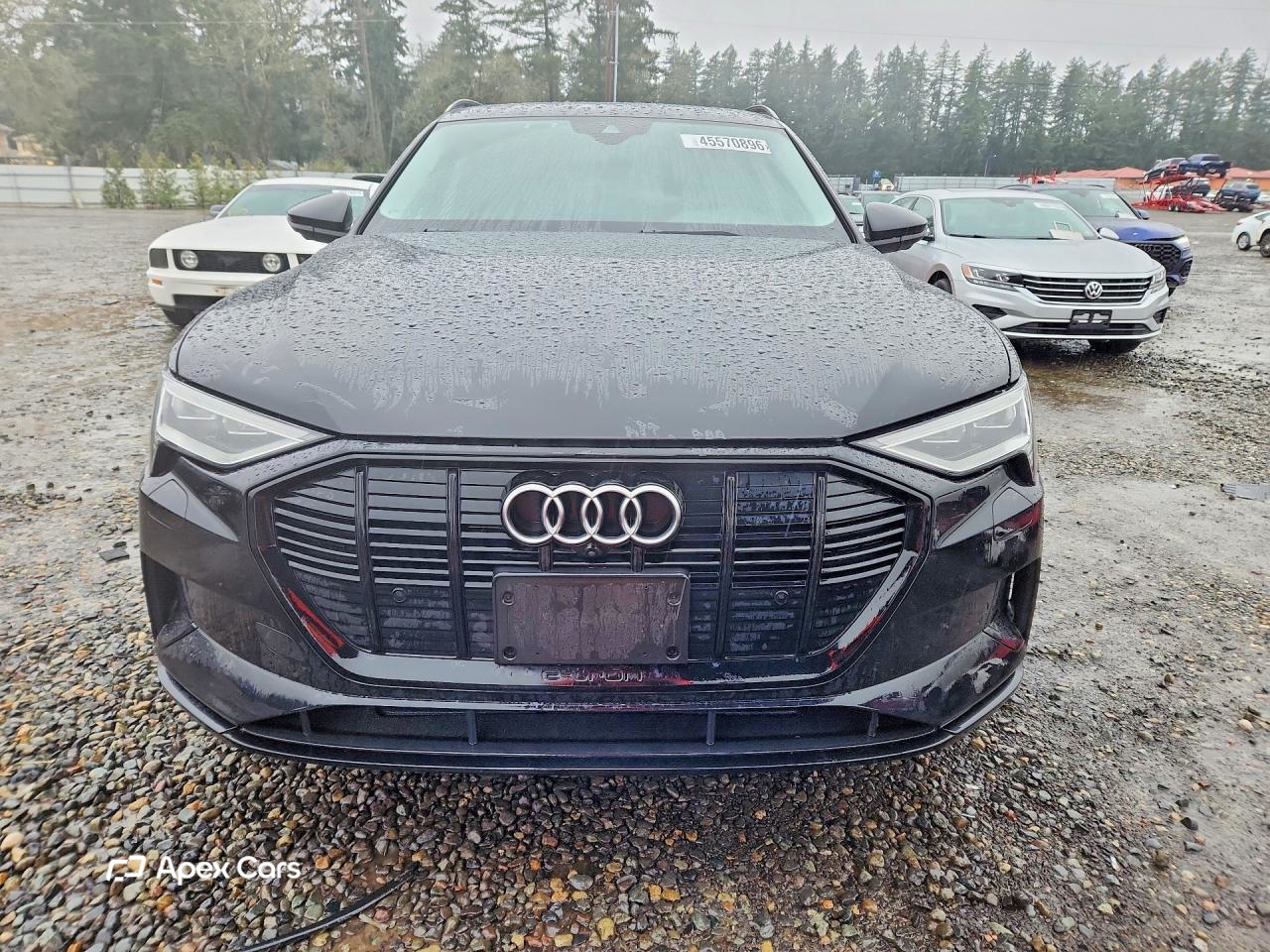 Audi e-tron 2021