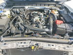 Ford Bronco 2024