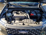 Ford Maverick 2025
