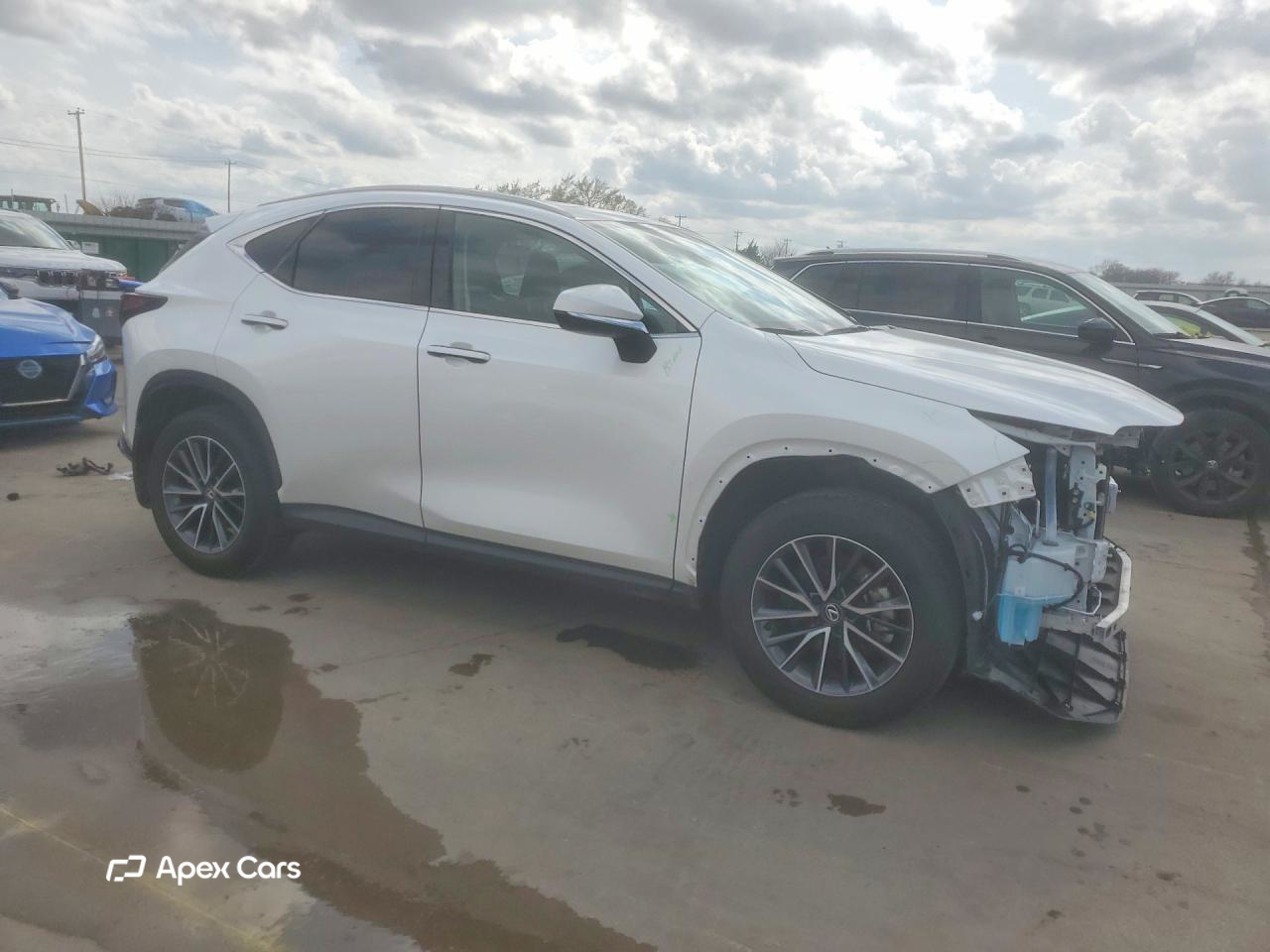 Lexus NX 2025