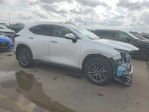 Lexus NX 2025
