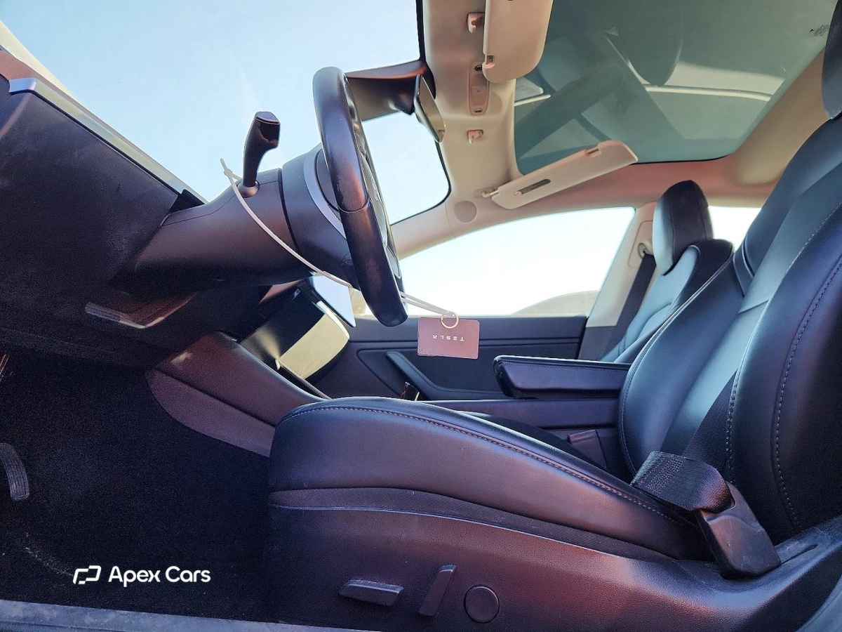 Tesla Model 3 2019