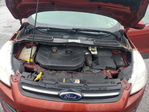 Ford Escape 2014