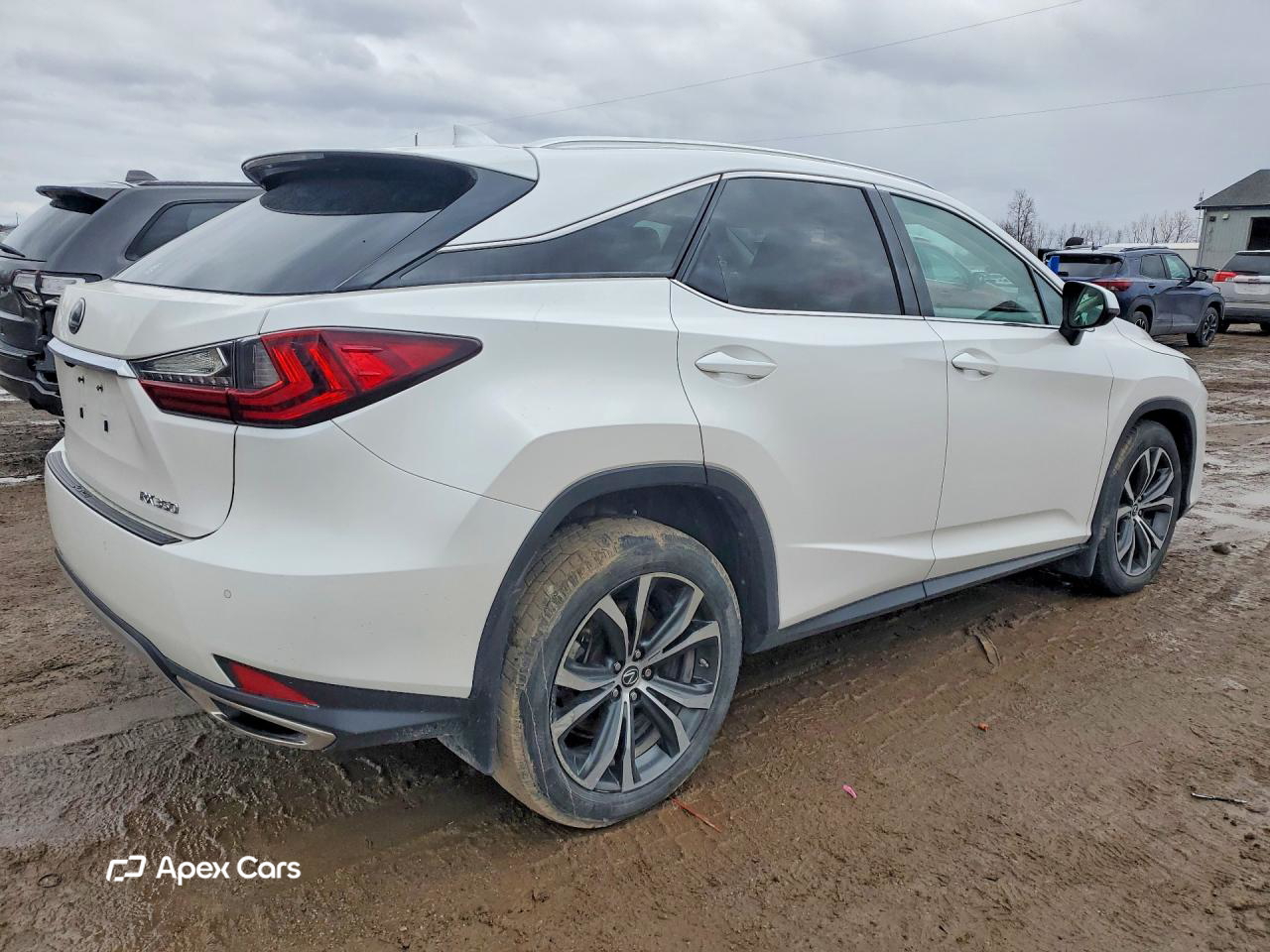Lexus RX 2020