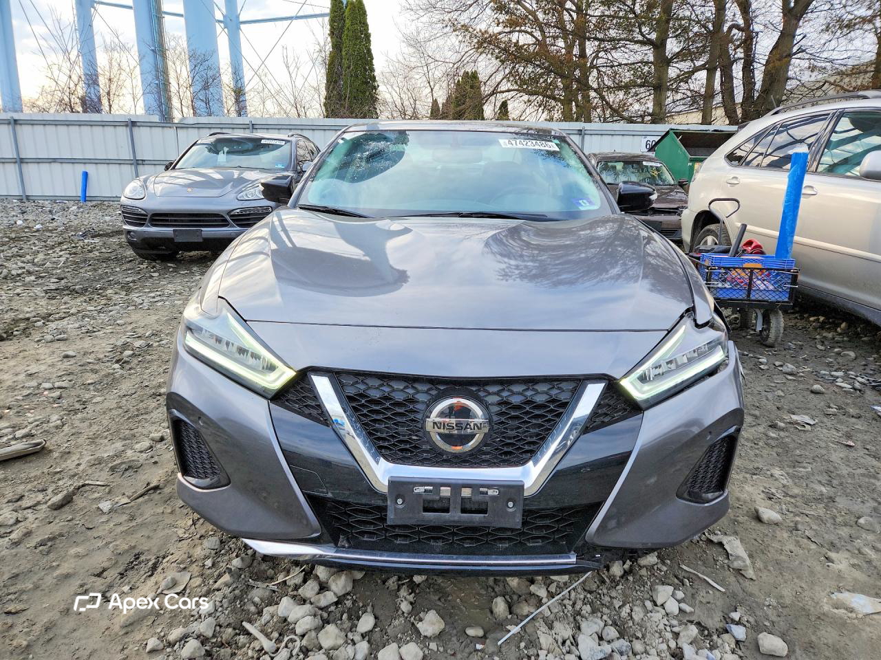 Nissan Maxima 2019