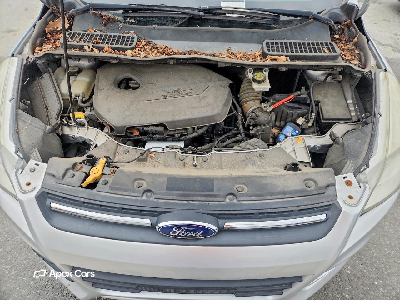 Ford Escape 2014