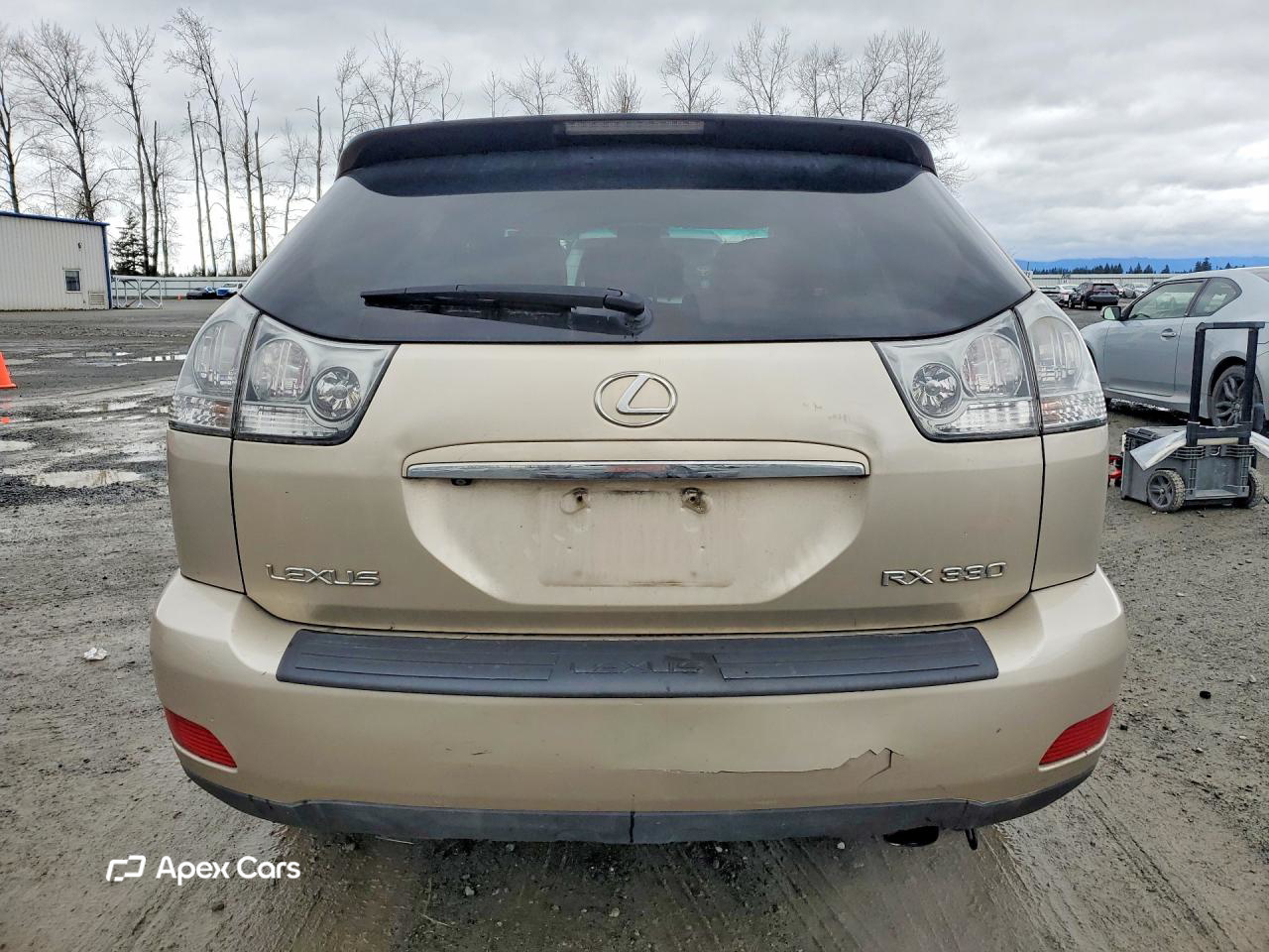 Lexus RX 2004