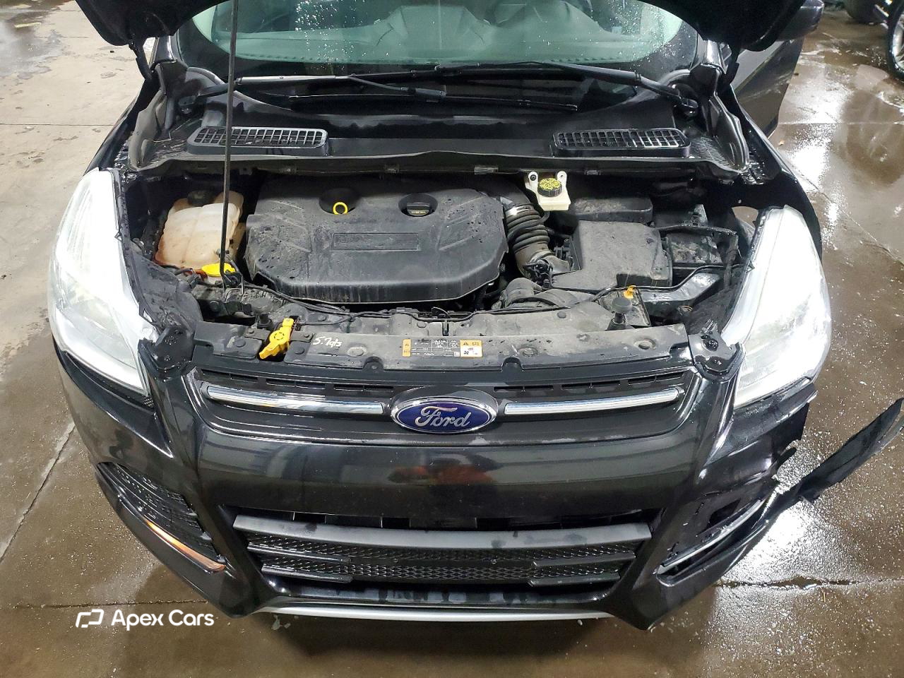 Ford Escape 2014
