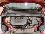 Ford Escape 2014