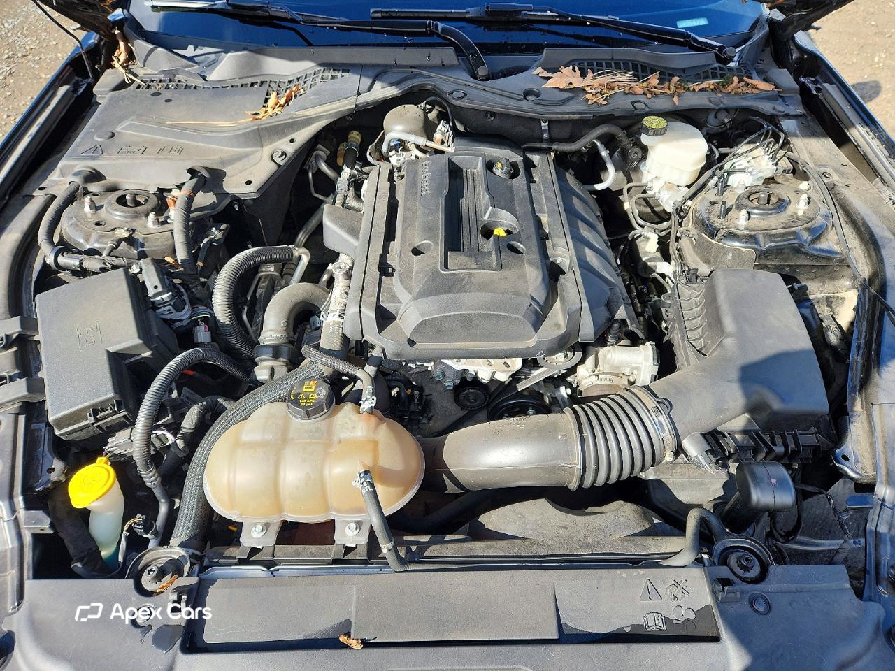 Ford Mustang 2019