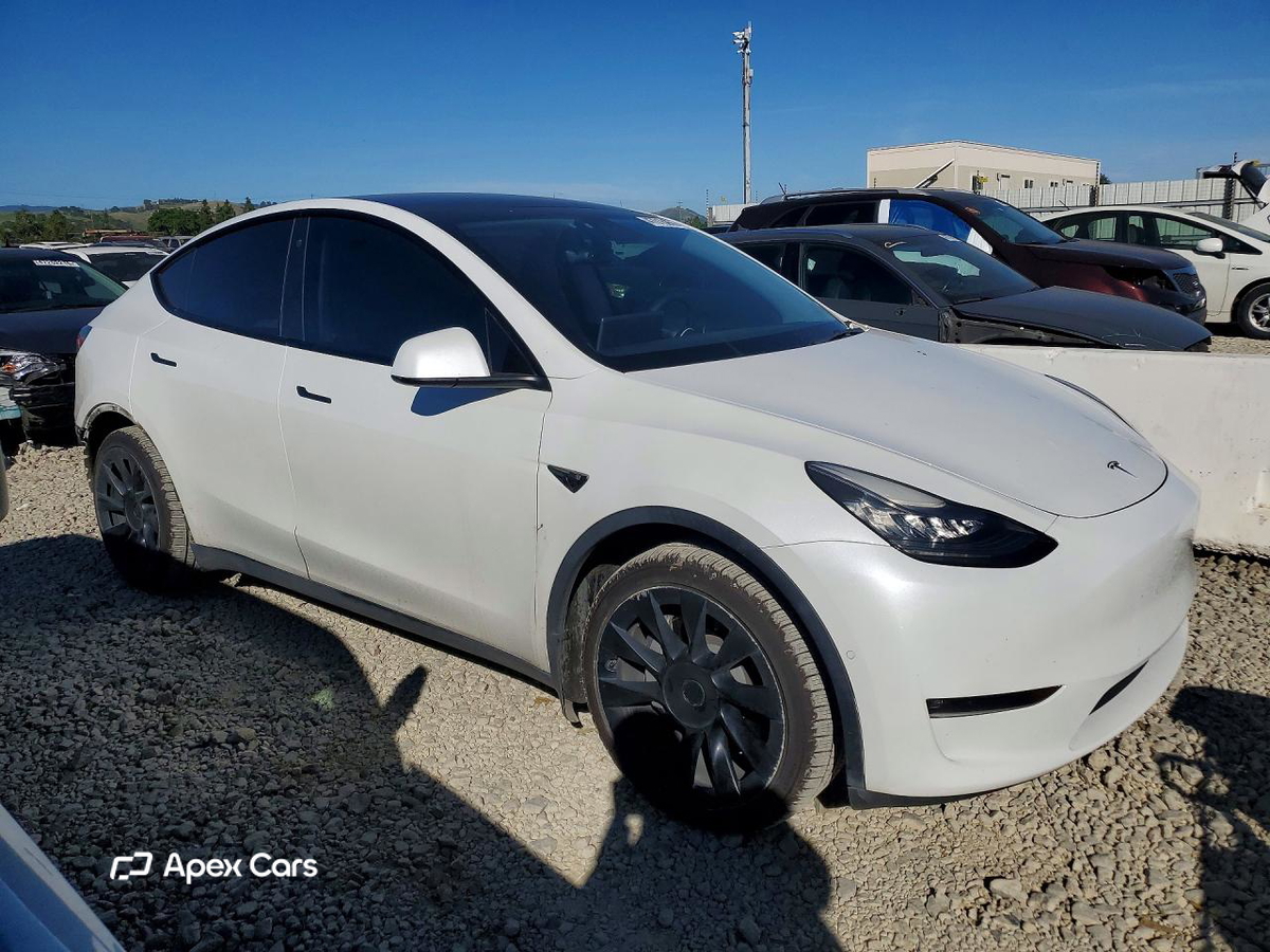 Tesla Model Y 2021