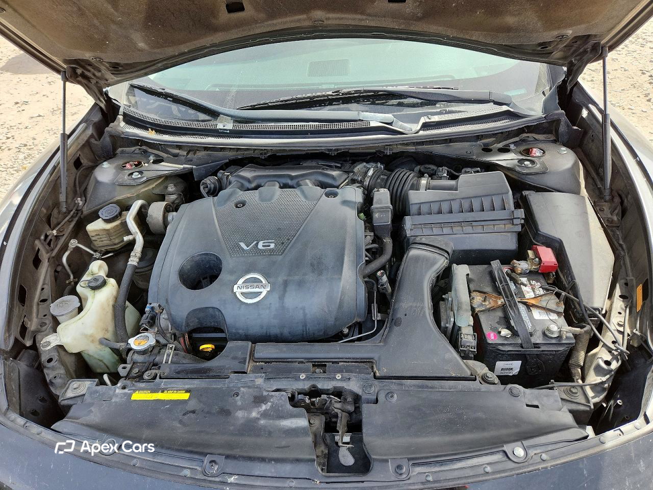 Nissan Maxima 2010
