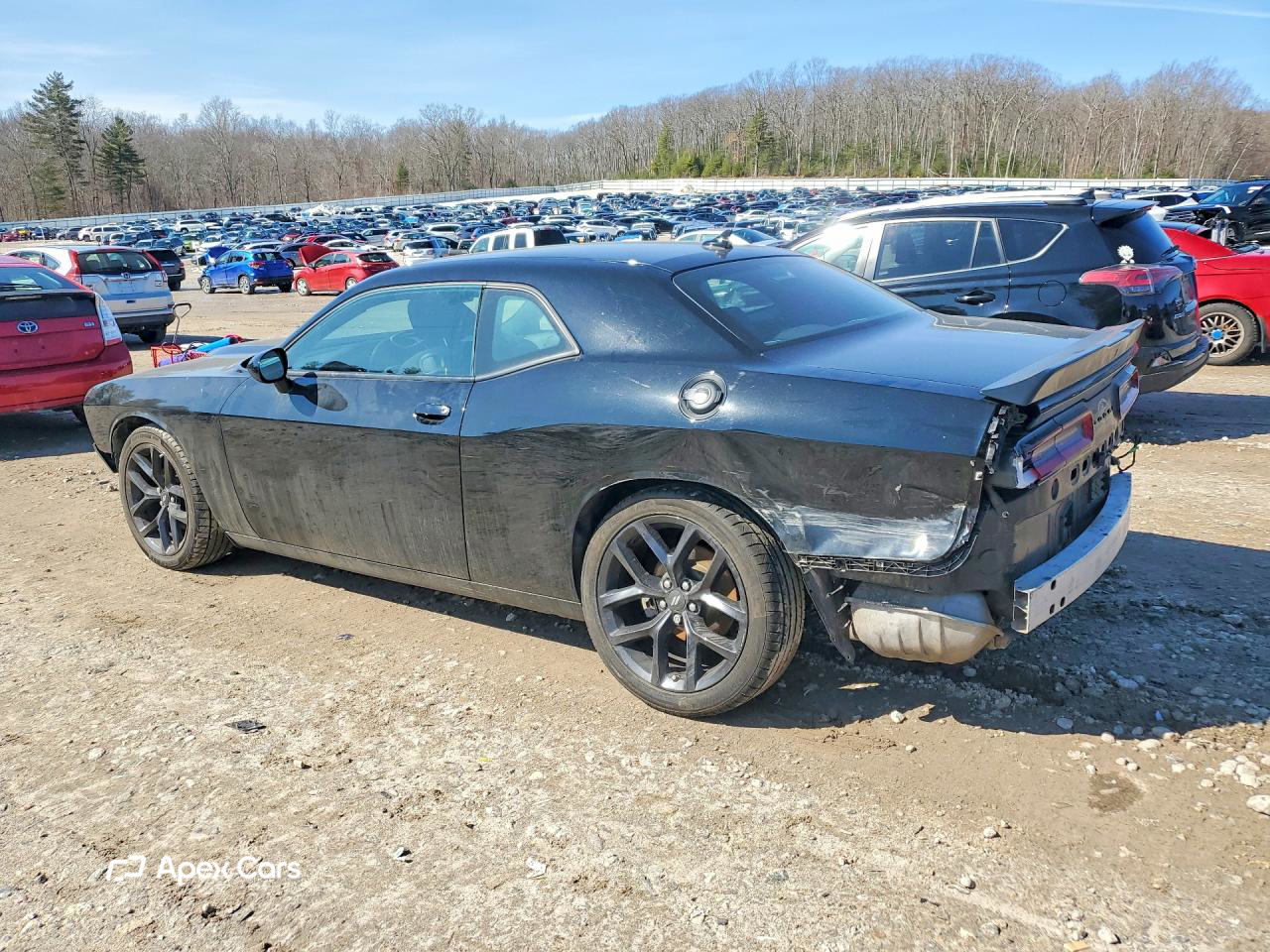 Dodge Challenger 2022
