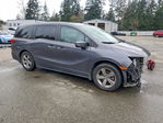 Honda Odyssey 2019
