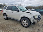 Ford Escape 2011