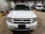 Ford Escape 2011