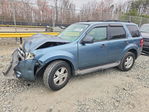 Ford Escape 2011