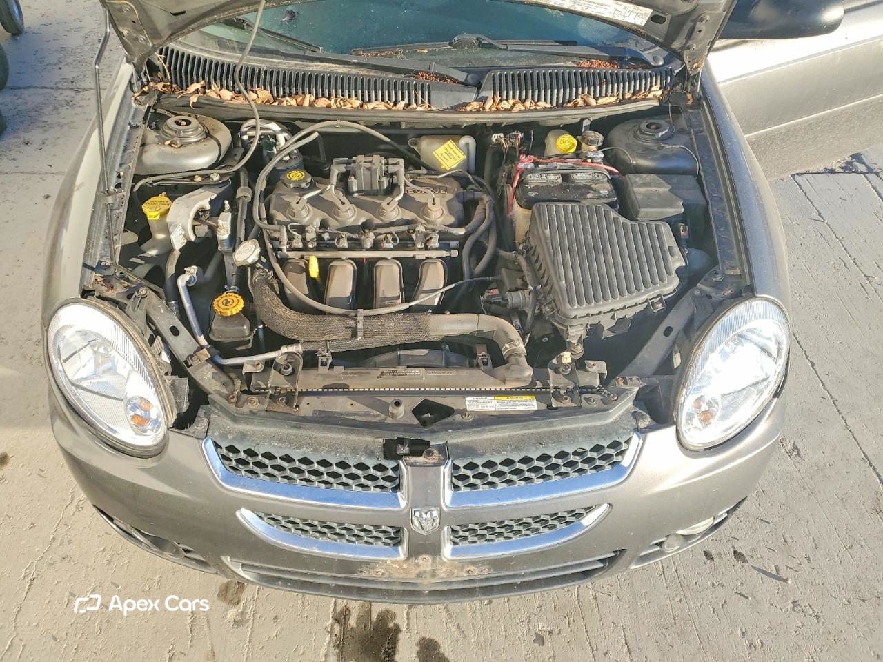 Dodge Neon 2004