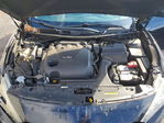 Nissan Maxima 2016