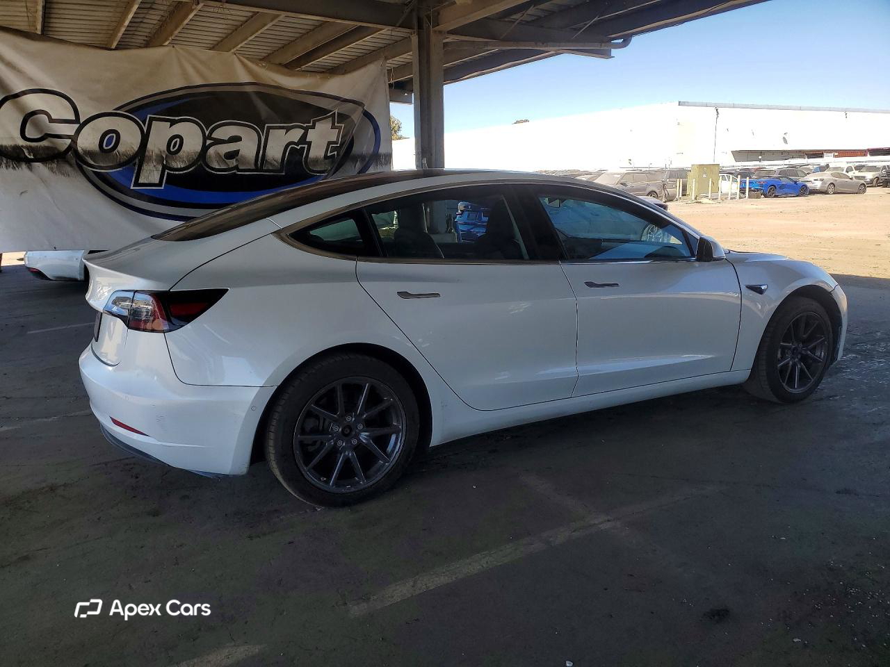 Tesla Model 3 2019