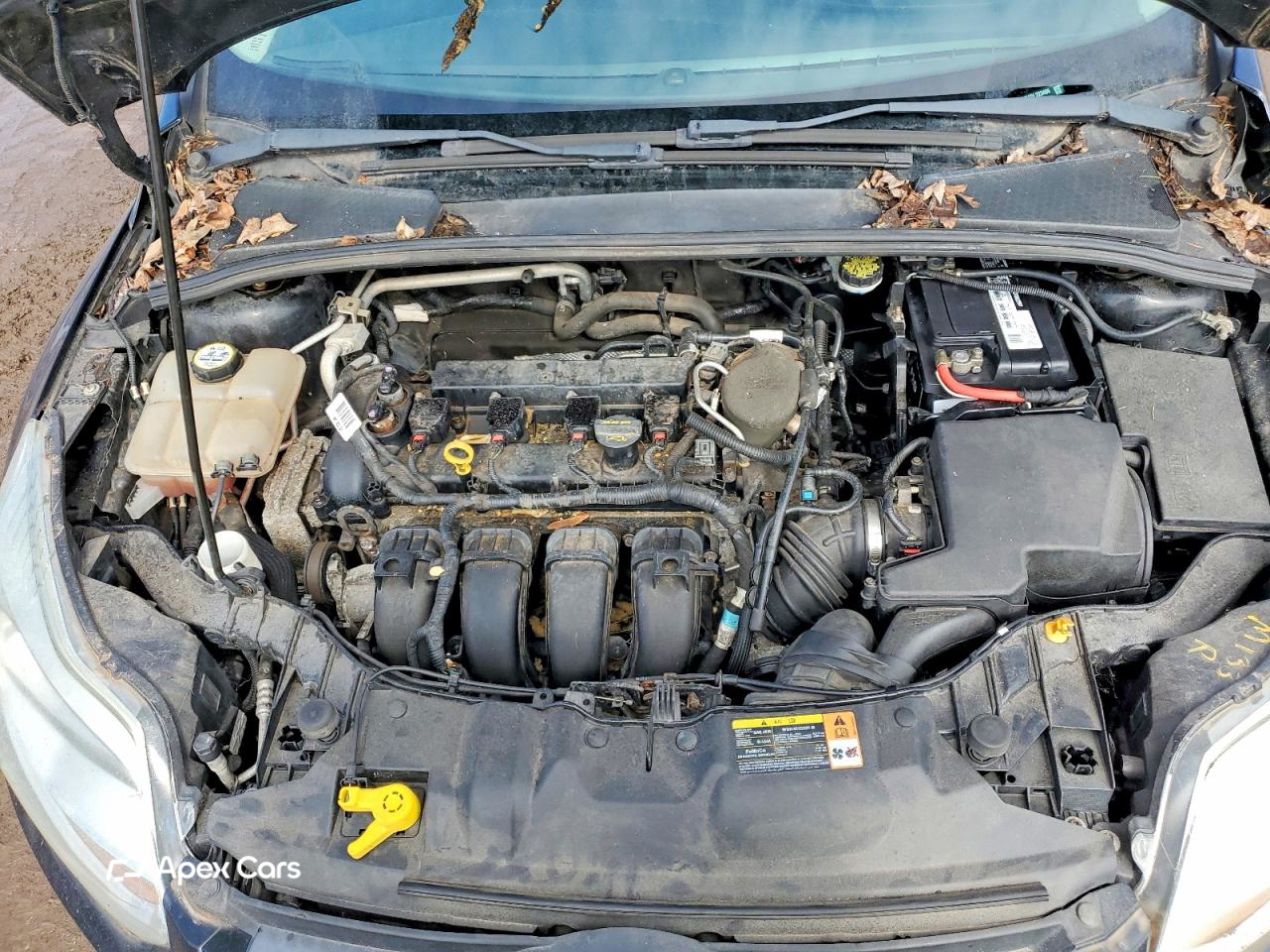Ford Focus 2013