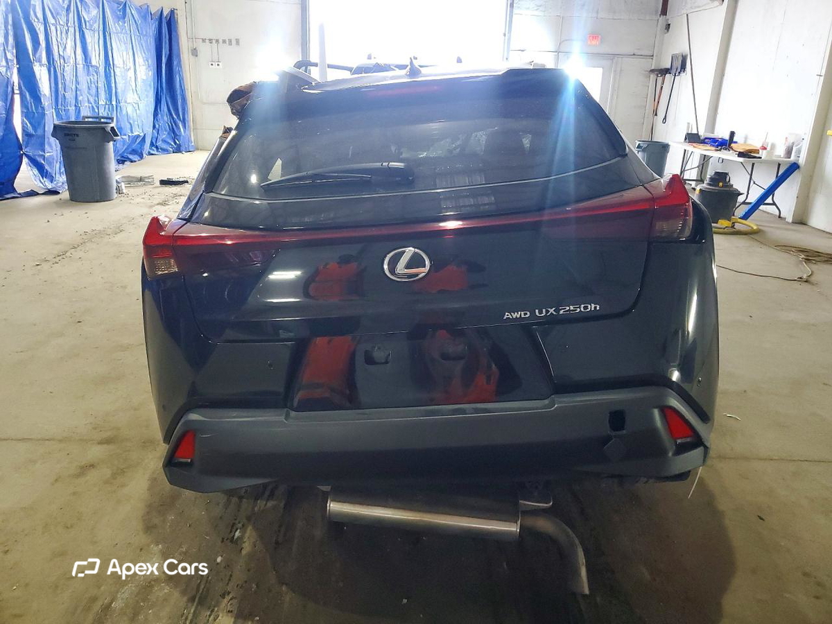 Lexus UX 2024