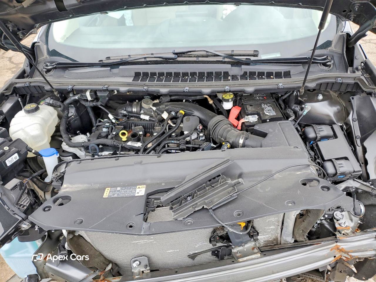 Ford Edge 2024