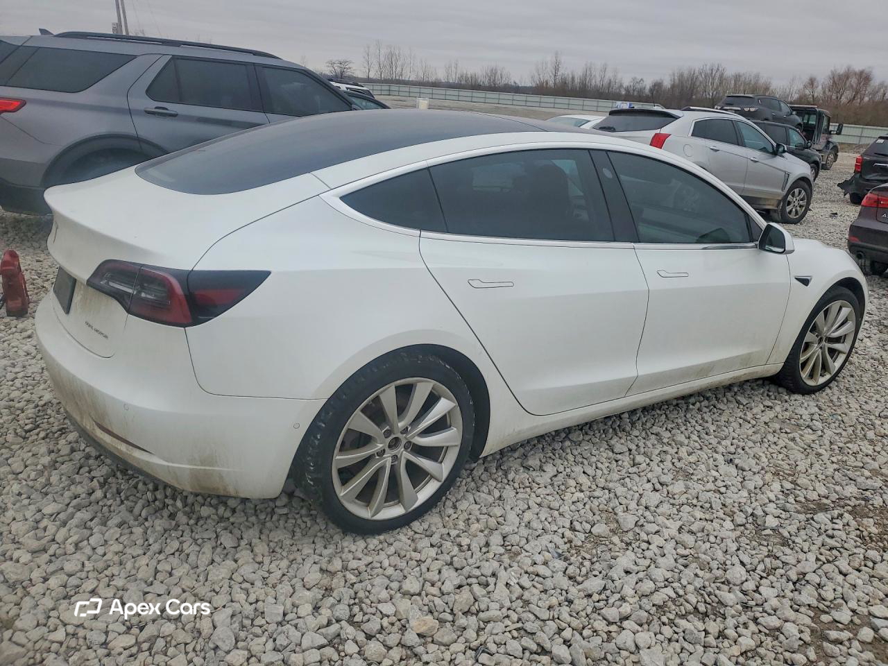 Tesla Model 3 2019
