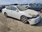 Lexus ES 2005