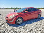 Elantra 2014