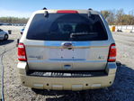 Ford Escape 2010