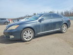 Lexus ES 2010