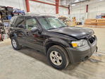 Ford Escape 2007