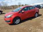 Kia Rio 2017