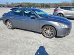 Nissan Maxima 2014