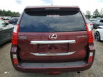 Lexus GX 2013