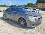 Nissan Maxima 2014
