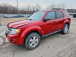 Ford Escape 2011