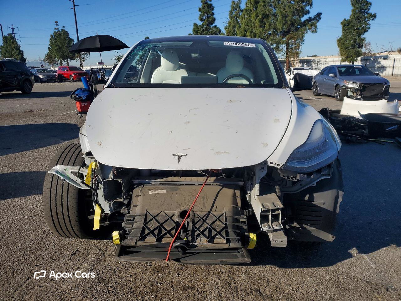 Tesla Model Y 2020